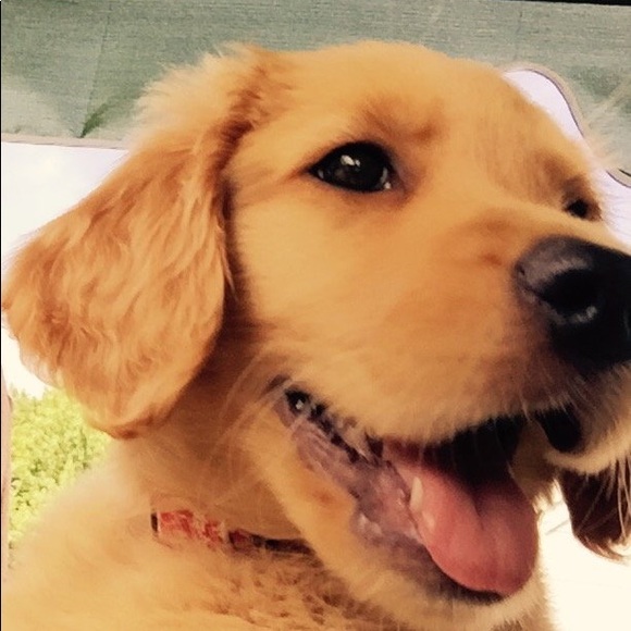 Meet your Posher, Wayne - Picture 3 of 7